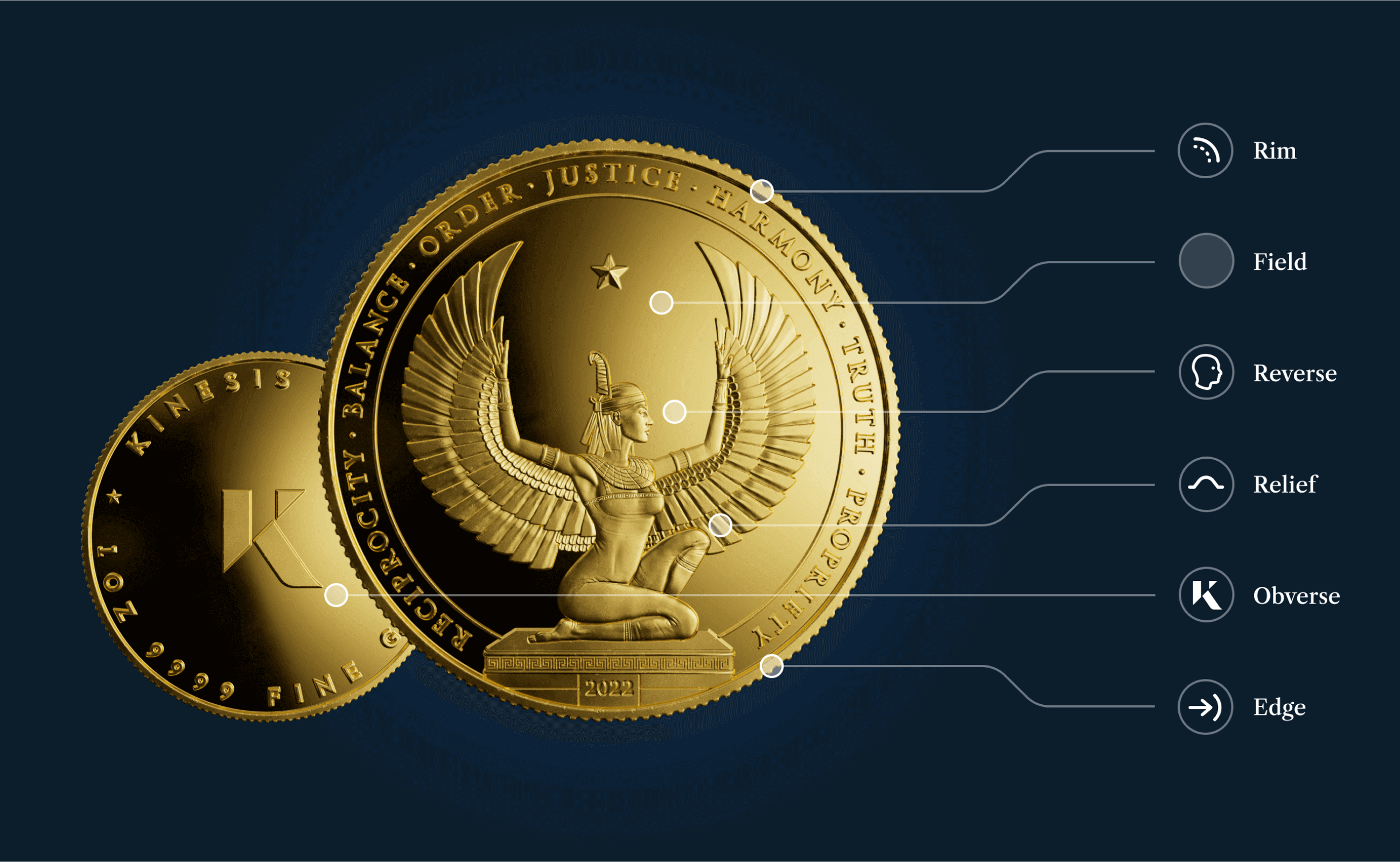A diagram showing the anatomy of a round. Showing the rim, field, reverse, relief, obverse and the edge.